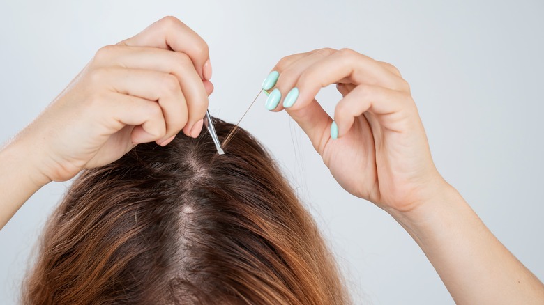 Woman plucking gray hair 