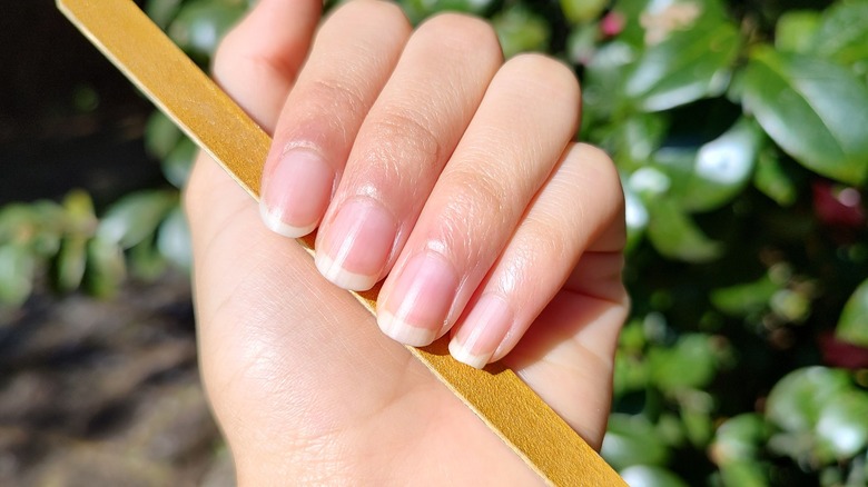 Long natural nails holding filer 