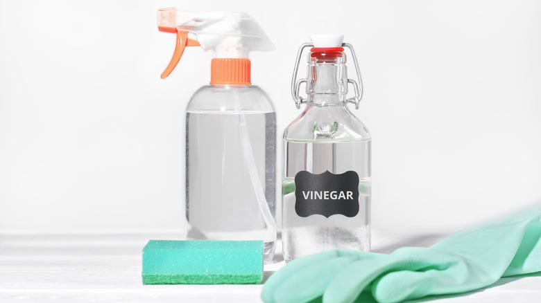 Vinegar in a bottle with sponge