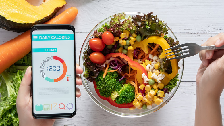 Counting calories with food app