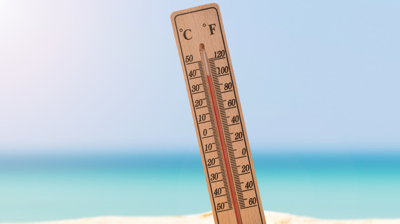 Thermometer in sand on beach