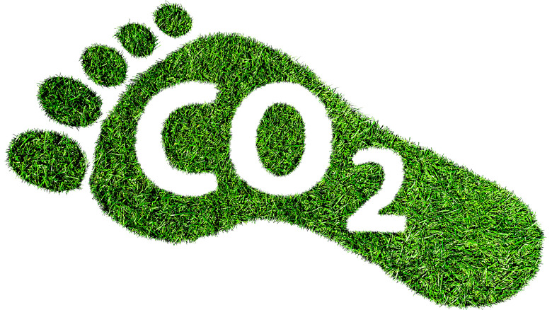 grass footprint embossed with CO2