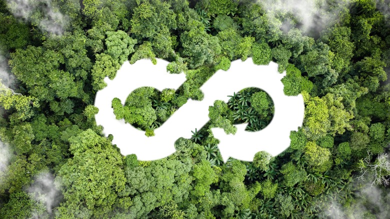 circular economy logo over leaves