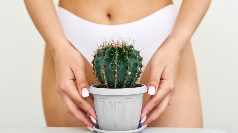 Woman in underwear holds cactus