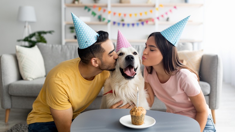 couple celebrating dog's birthday