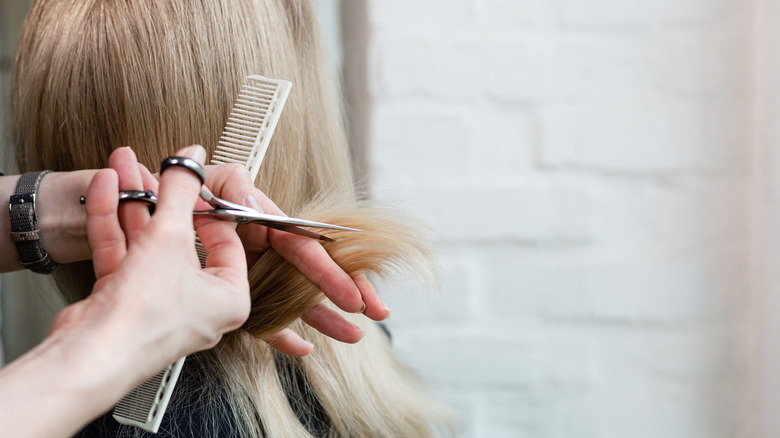 Women's haircut