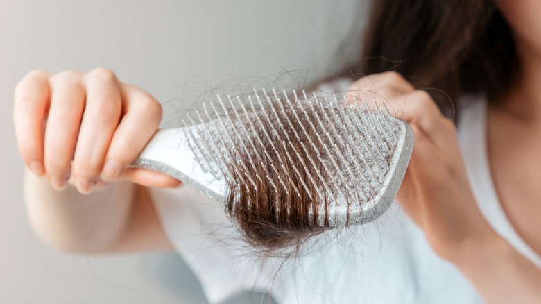 clump of hair in hair brush