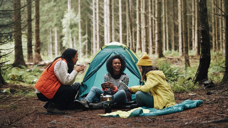 Three friends camping with tent in woods