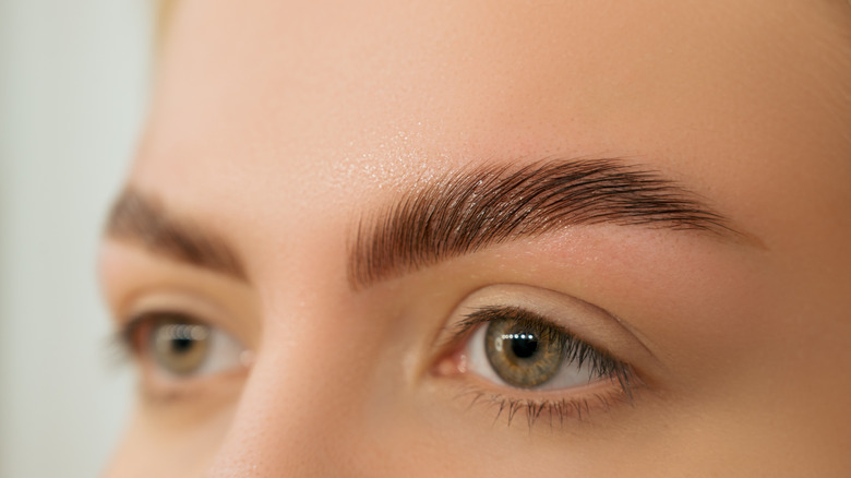 close up image of a woman's eyebrows