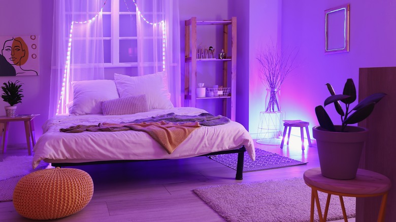 Bright purple room