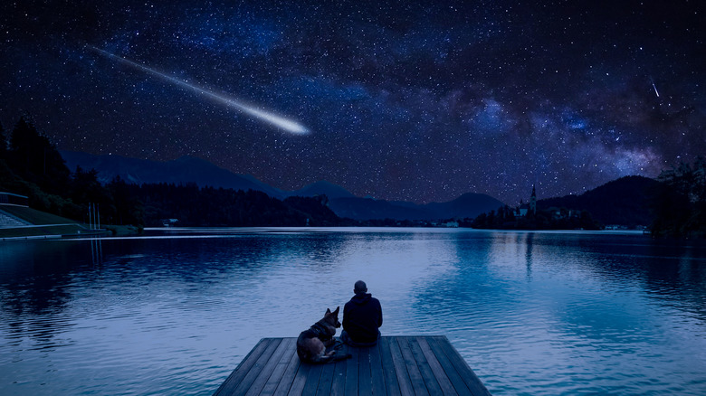 Person watches meteor shower