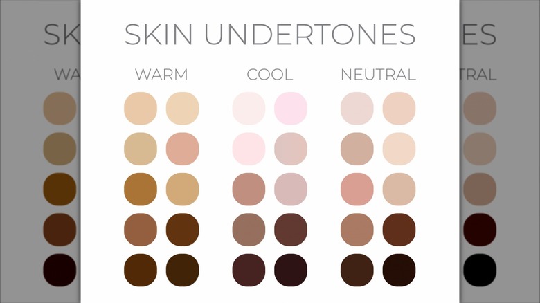 Skin undertone graphic