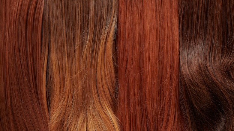 Multiple different shades of hair