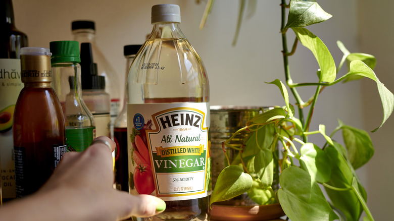 hand reaching for heinz vinegar