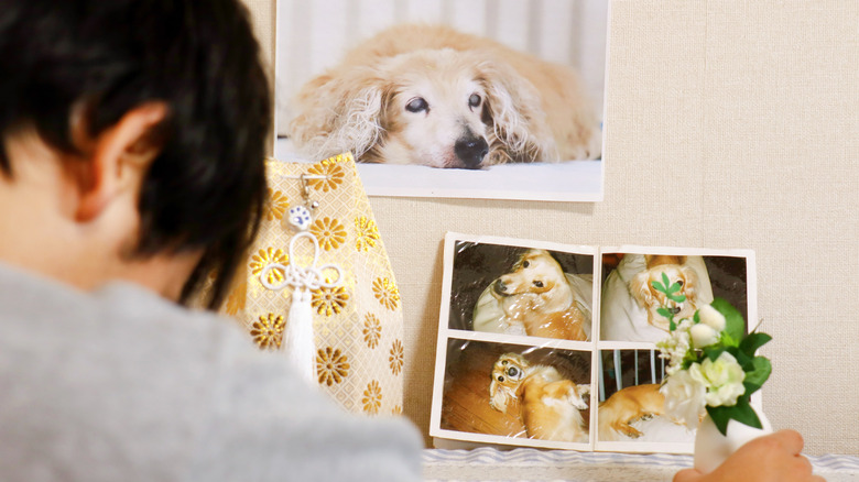 man grieving dog holding its picture