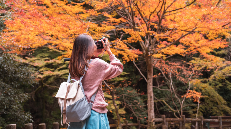 young woman fall photography 