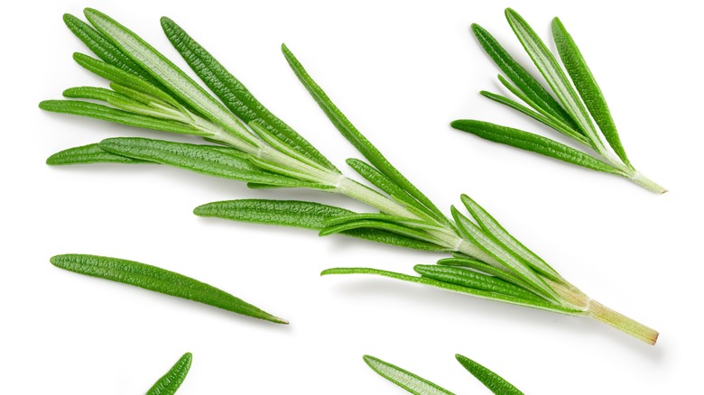 sprig of rosemary