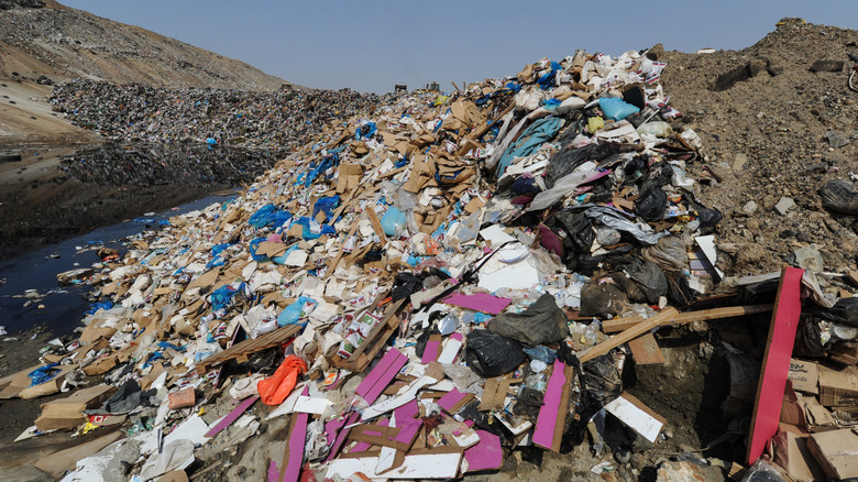 Shoes in a landfill