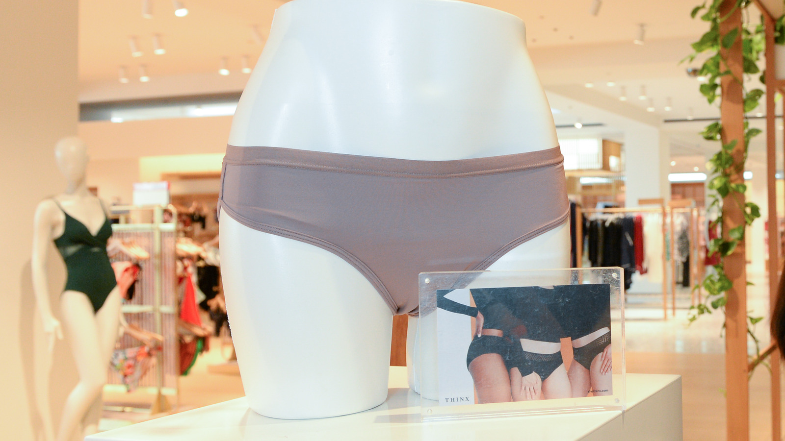 Period Panties: The Newest Way To Deal With Your Period 