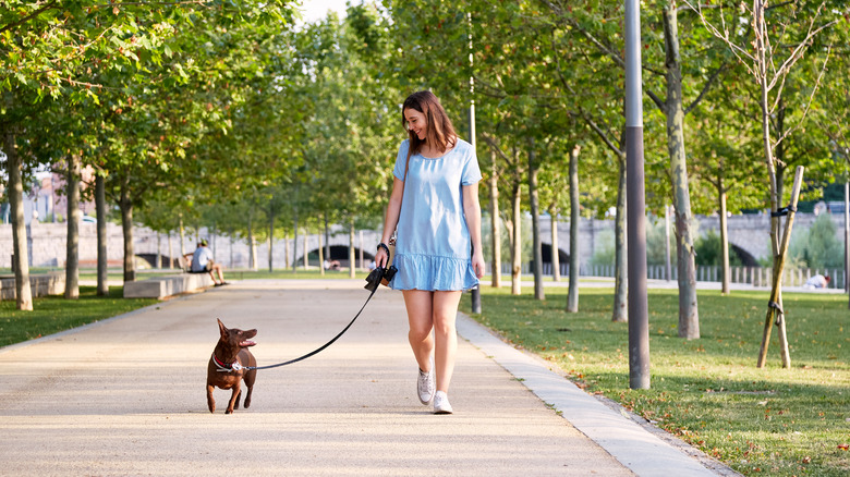 woman walking dog in park