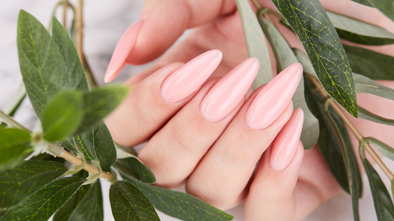 pink nails with background leaves