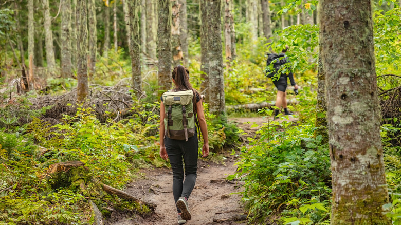 Young woman hikes through forest 