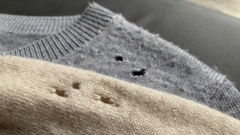 Holes in cashmere sweaters