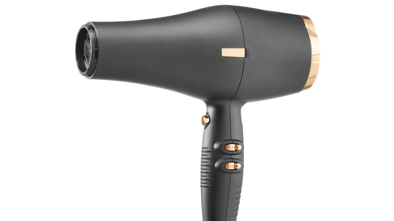 Ionic hair dryer 