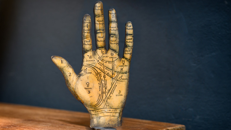 palmistry hand model