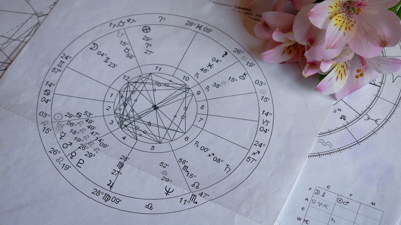 A natal chart with pink flowers
