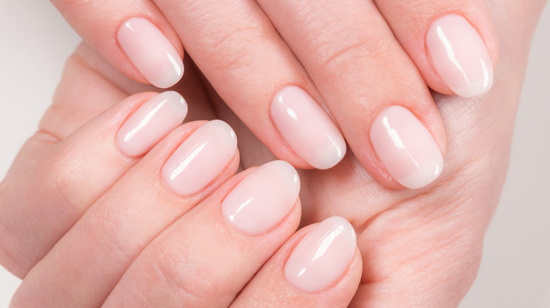 Pastel pink manicure with rounded nail shape 