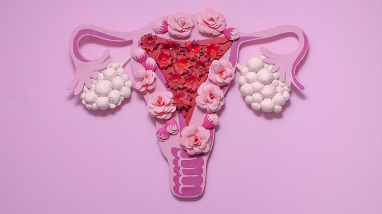 Ovary made of paper flowers