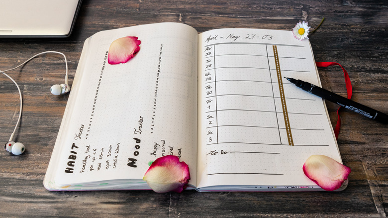 Bullet journal habit tracker mood tracker