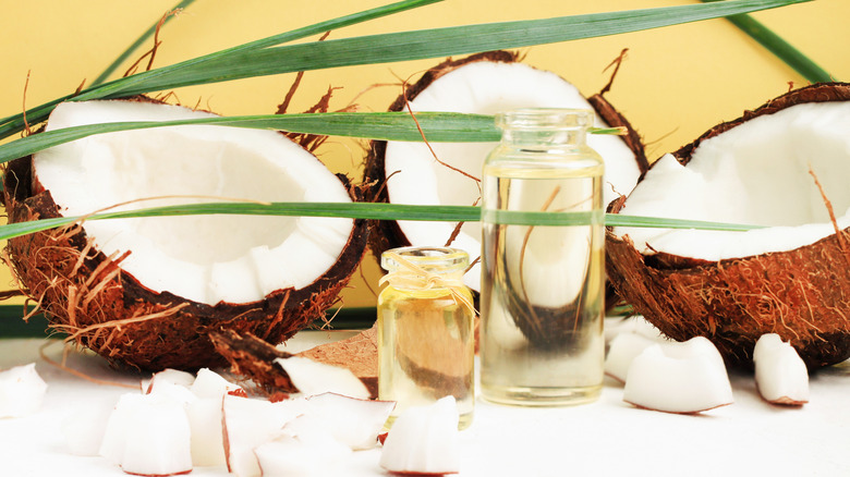 Halved coconuts with oil in vials