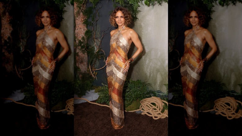 Halle Berry poses in a metallic brown-toned dress