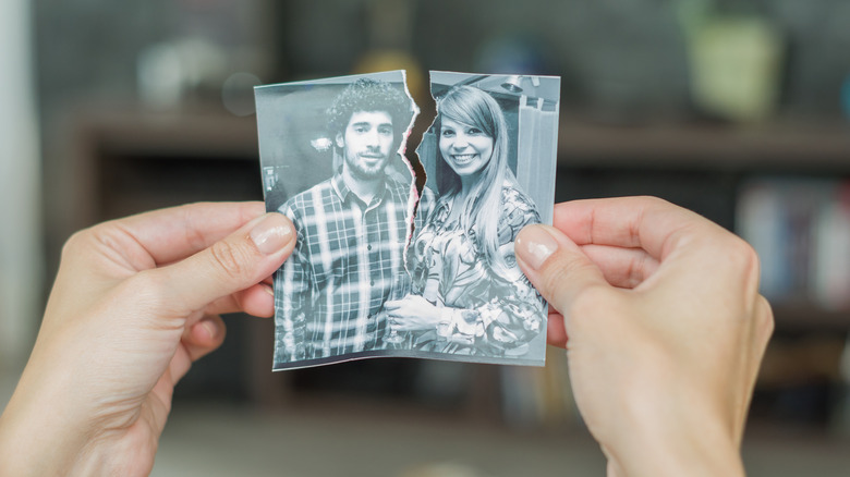 Person holding torn photo