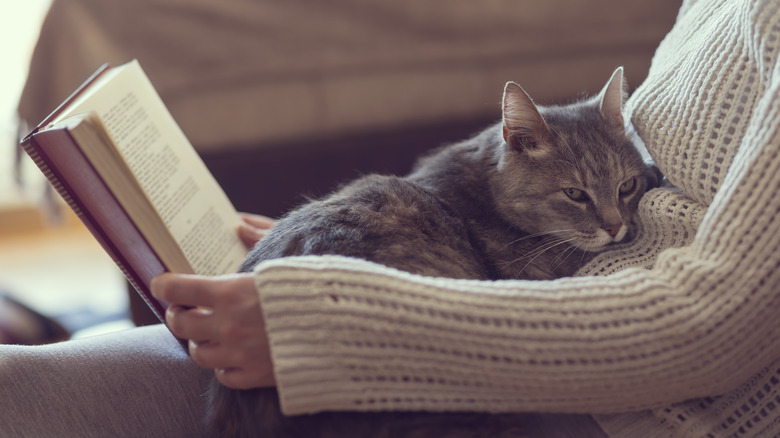 A woman reads with a cat in her lap