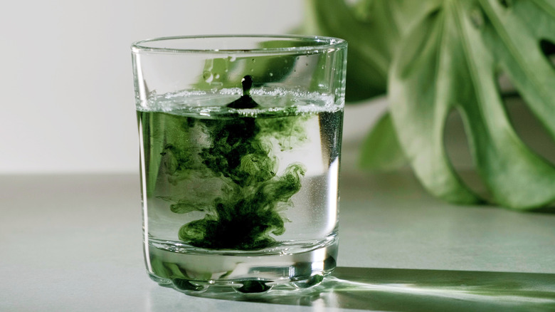 Chlorophyll water in cup