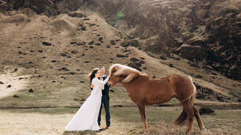 Couple in rugged landscape with horse