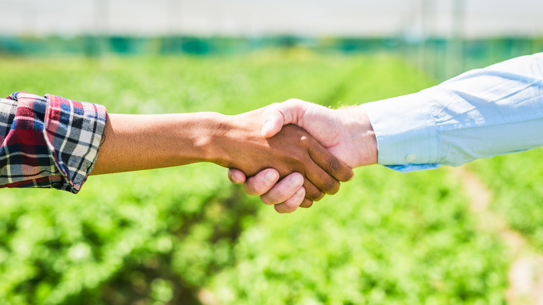 Two people shaking hands