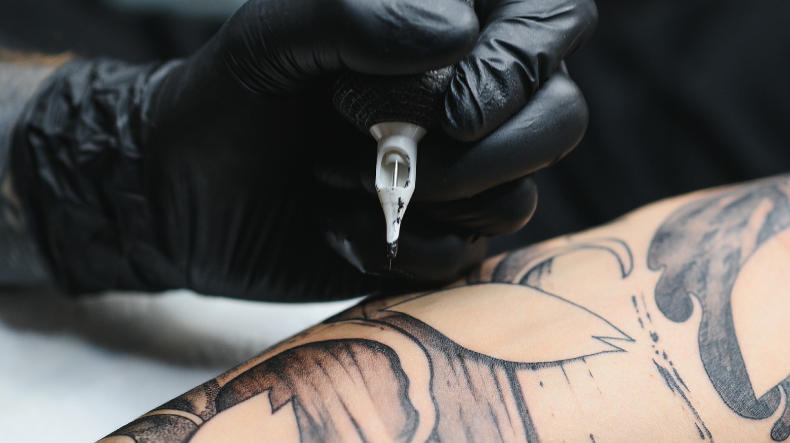 15 Best Tattoo Numbing Creams For A Painless Experience  2023