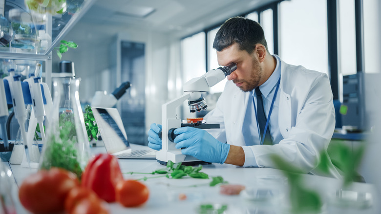 Food scientist examining fruits and herbs in lab