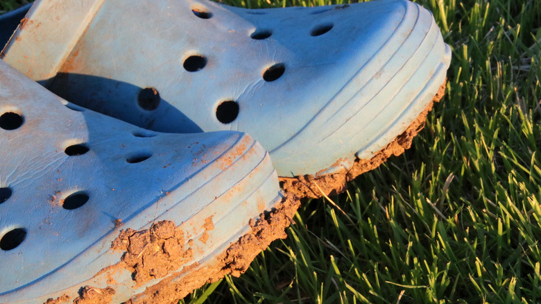 Closeup of muddy Crocs