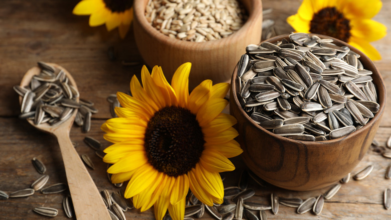 sunflower seeds and sunflowers