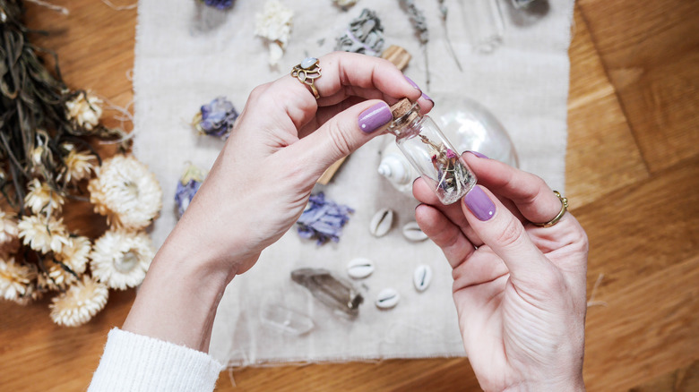 Woman's hands displaying flowers, herbs, seashells