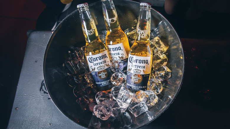 beer drink in a  bowl of ice