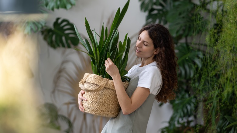 woman carrying plant in basket