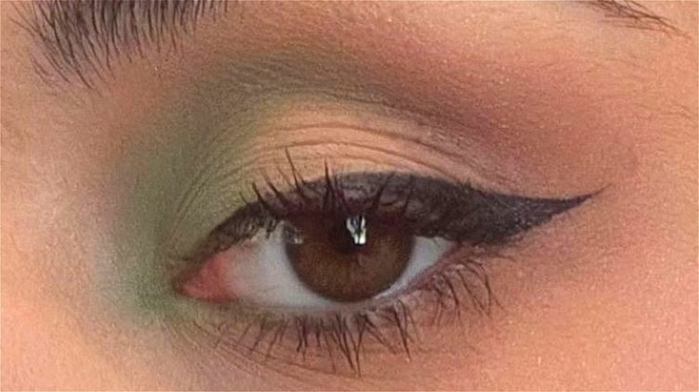 Green and brown makeup