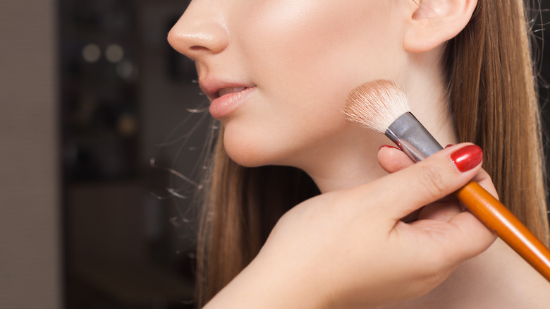 person applying makeup to a woman's face with brush