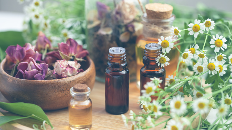 Essential oil bottles and flowers 